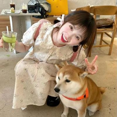 小鼠朋友