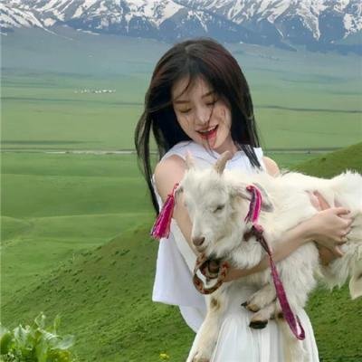 铁骑金戈